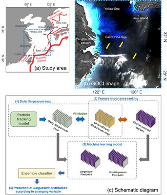 Environmental variables affecting Sargassum distribution in the East China Sea and the Yellow Sea